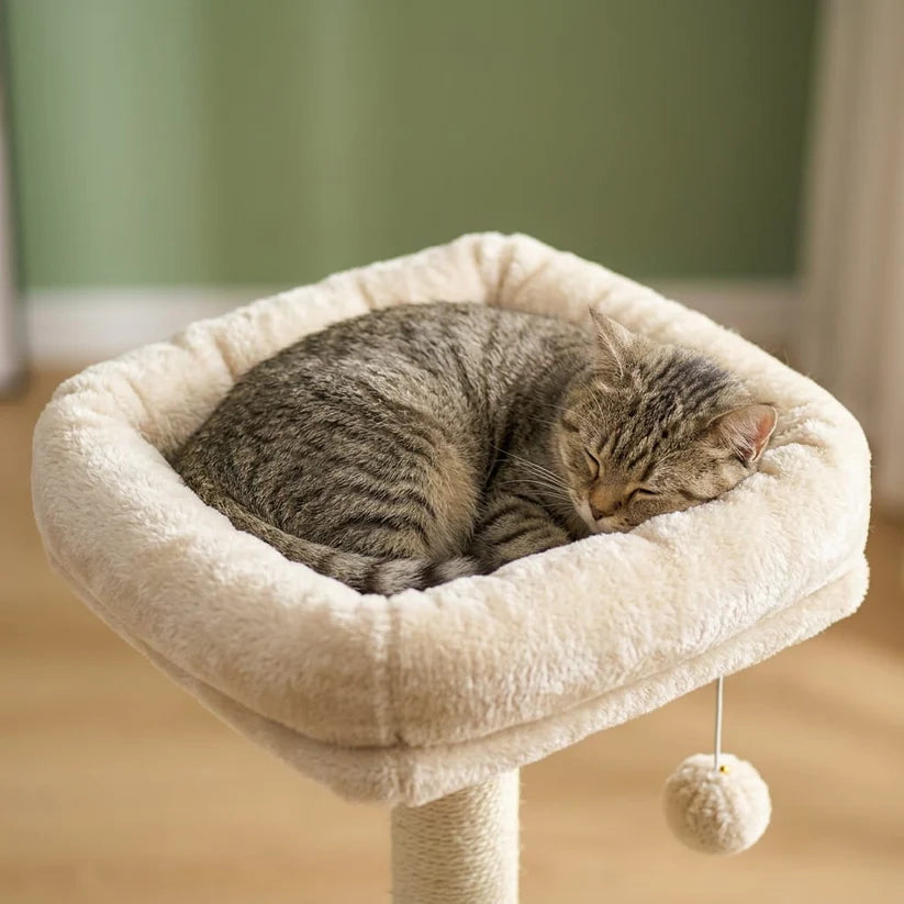 Arbre à chat beige bois | Sodeo