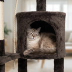 Arbre à chat design contemporain | Fubou