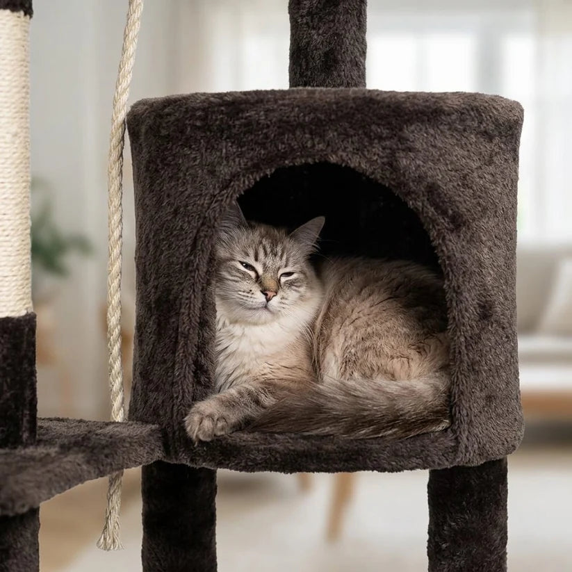 Arbre à chat beige et marron | Kenou