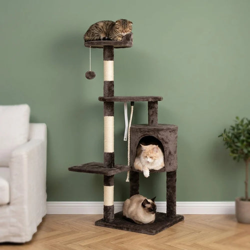 Arbre à chat beige et marron | Kenou