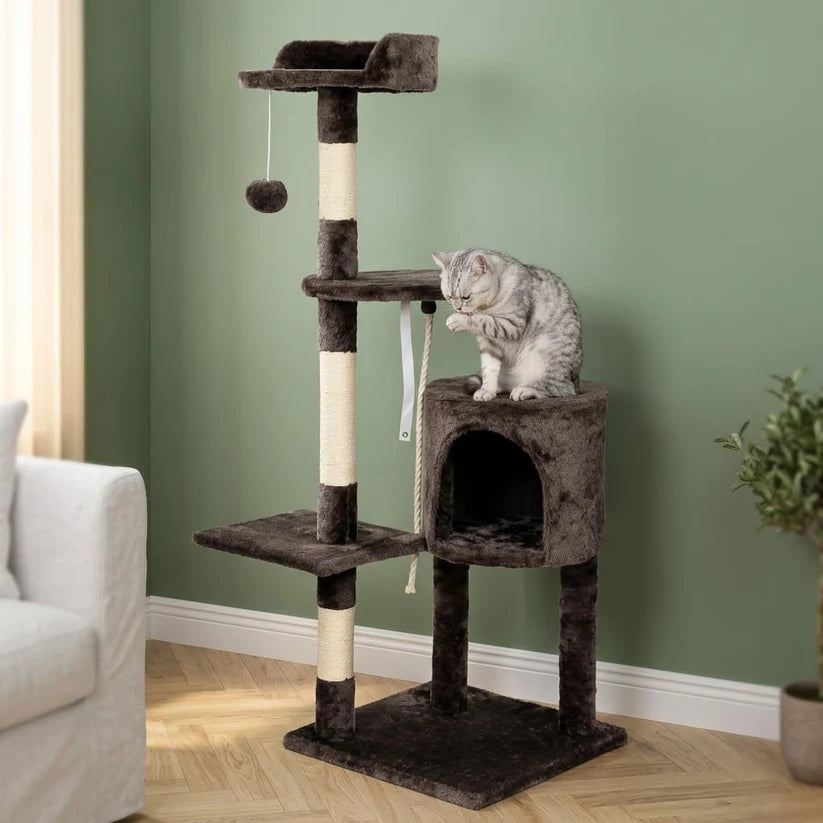 Arbre à chat beige et marron | Kenou
