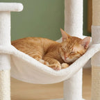 Arbre à chat blanc design | Shiou