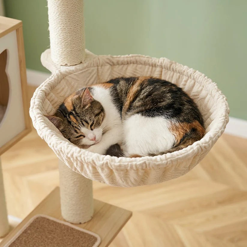Arbre à chat litière bois | Kakusou