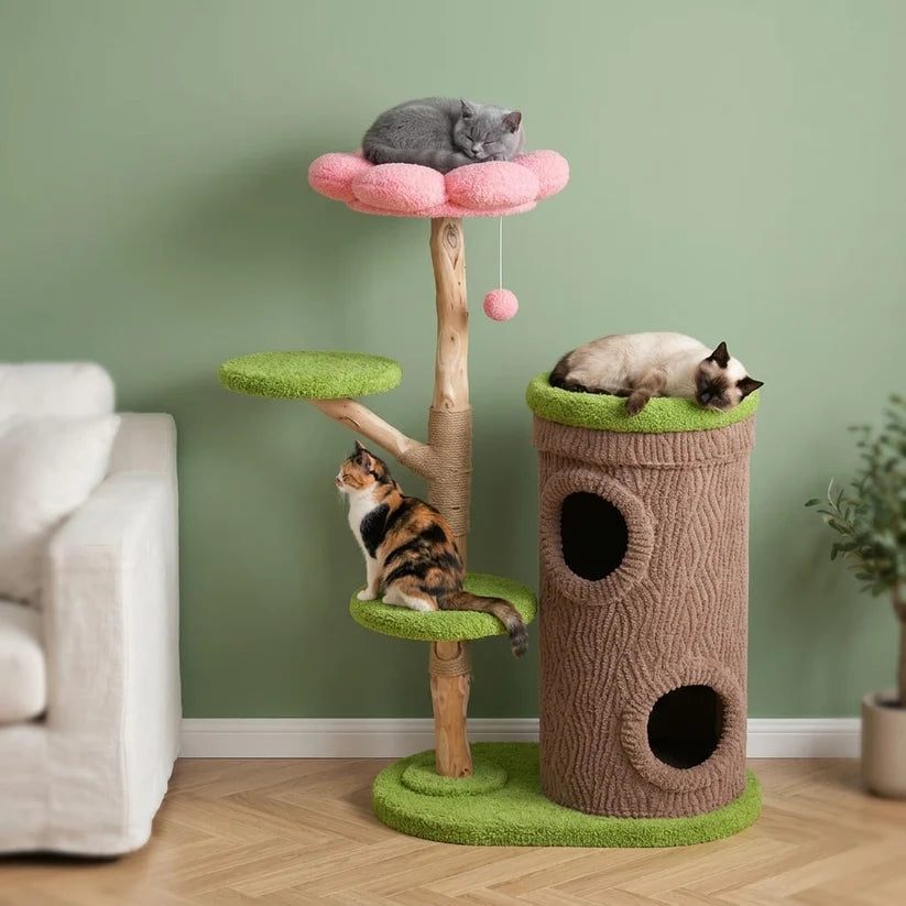 Arbre à chat bois brut | Arashia