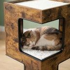 Arbre à chat bois design | Shimau