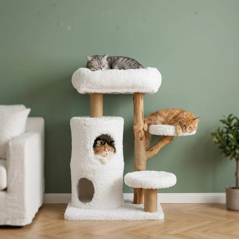 Arbre à chat bois flotté et sisal | Kikua