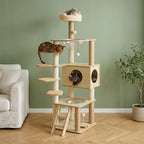 Arbre à chat bois naturel | Kodachio