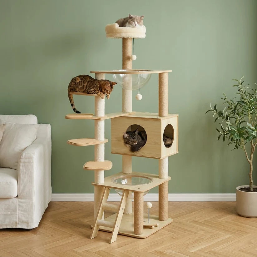Arbre à chat bois naturel | Kodachio