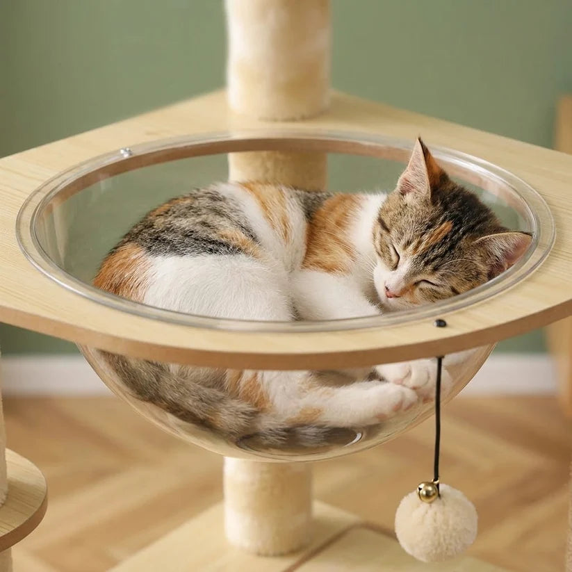 Arbre à chat bois naturel | Kodachio