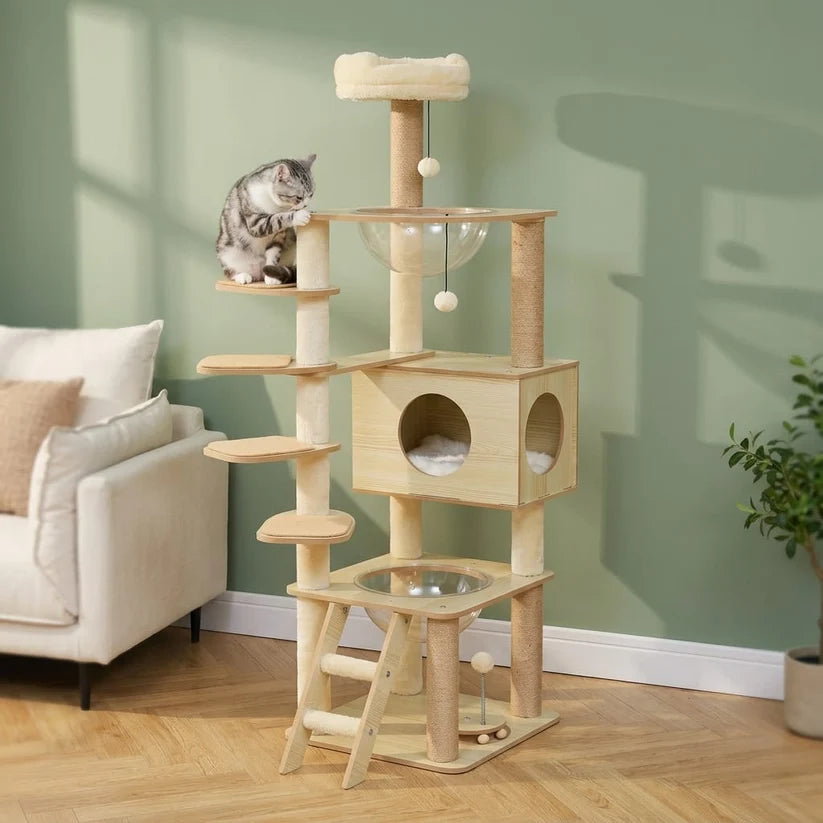 Arbre à chat bois naturel | Kodachio