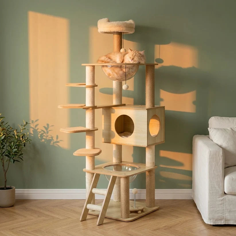 Arbre à chat bois naturel | Kodachio
