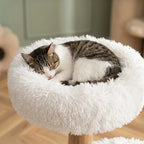 Arbre à chat branche bois | Takeo