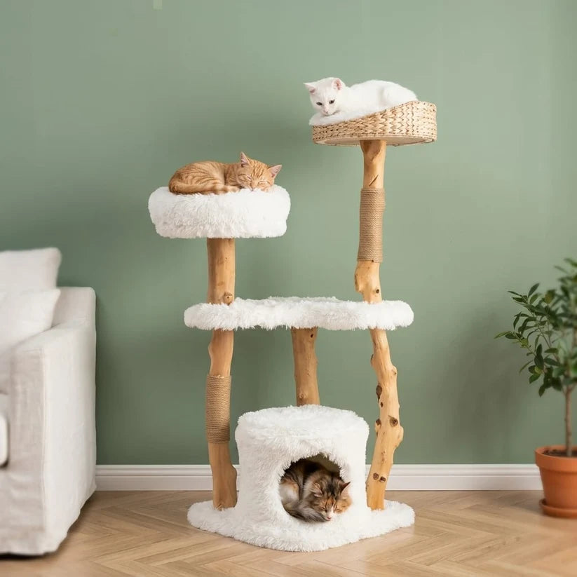 Arbre à chat branche bois | Takeo