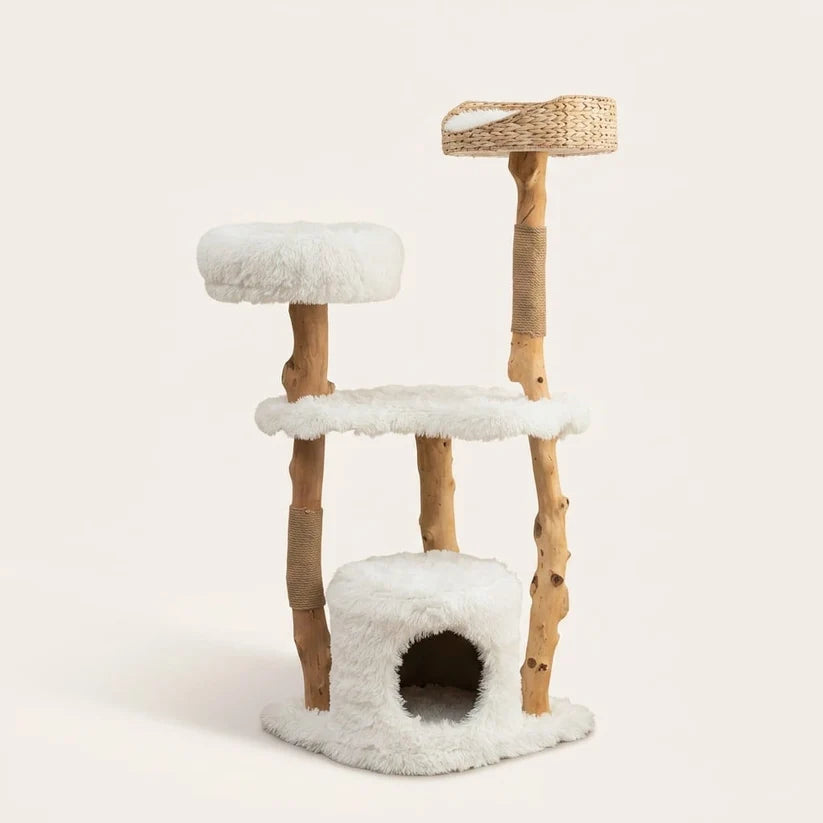 Arbre à chat branche bois | Takeo