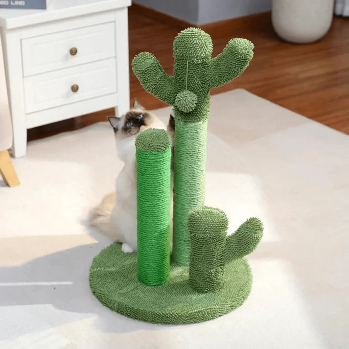 Cactus-Griffoir pour chat | Arbre à Miaou Cactis