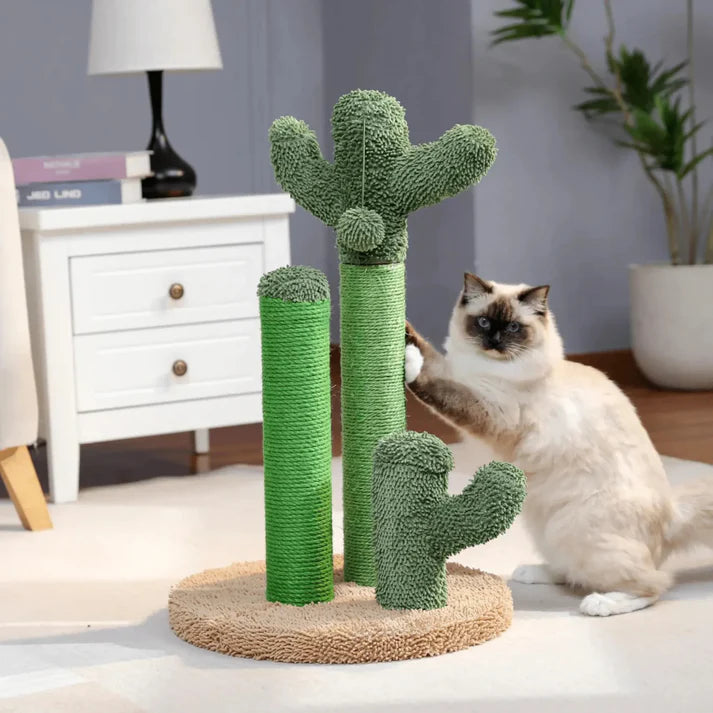 Cactus-Griffoir pour chat | Arbre à Miaou Cactis