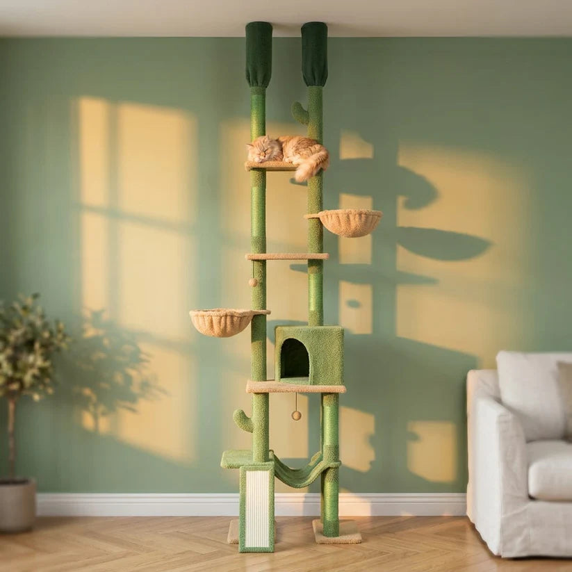Arbre à chat colonne fixation plafond | Hashirai