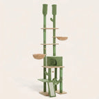 Arbre à chat cactus plafond | Sabakou