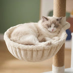 Arbre à chat caisse en bois | Amio