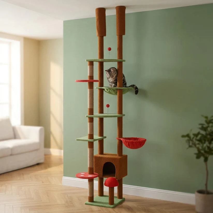 Arbre à chat champignon | Kinokou