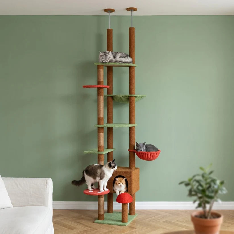 Arbre à chat champignon | Kinokou