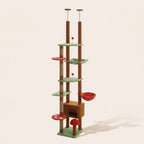 Arbre à chat champignon | Kinokou