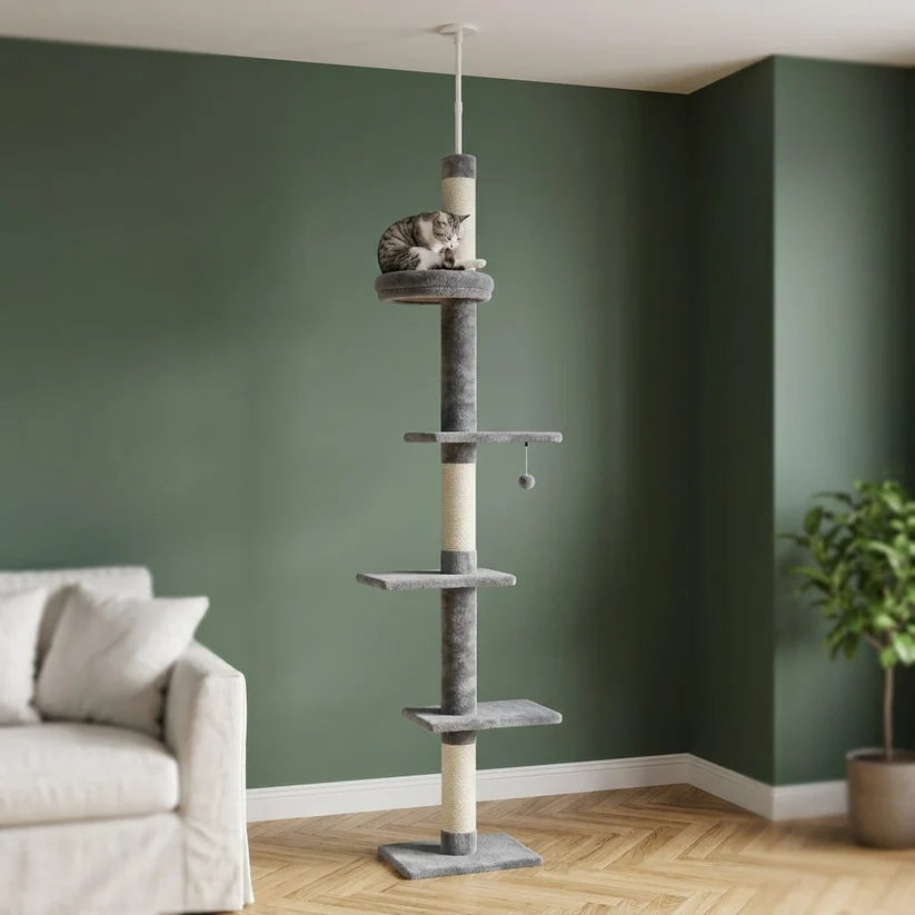 Arbre à chat à fixer au plafond | Kanou