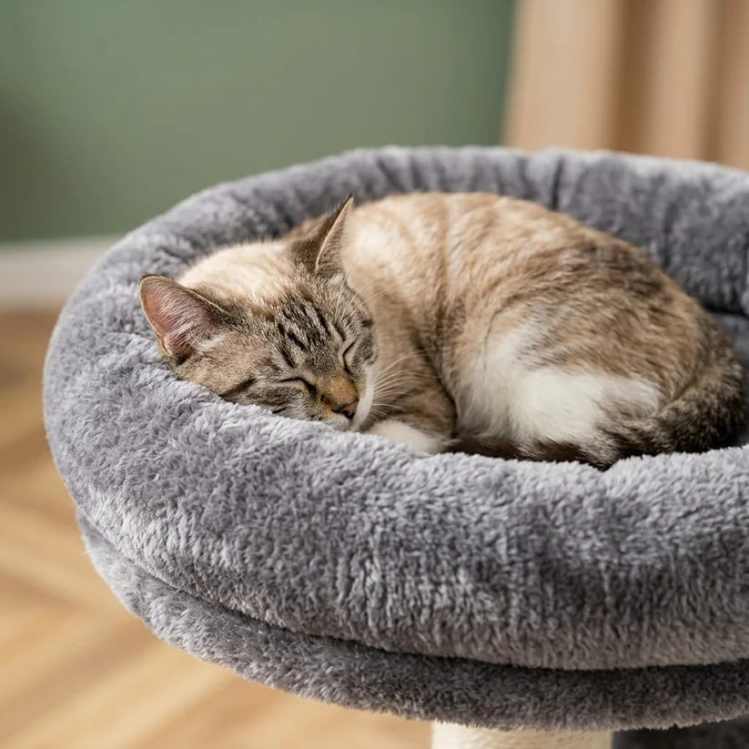 Arbre à chat à fixer au plafond | Kanou