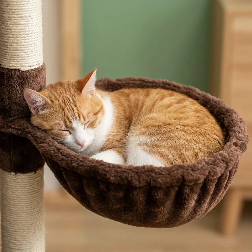Arbre à chat d'angle design — Aoia