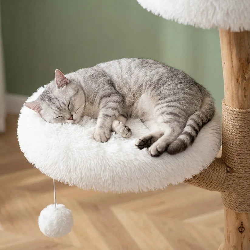 Arbre à chat design bois flotté | Kaiyou