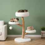 Arbre à chat design bois flotté | Kaiyou