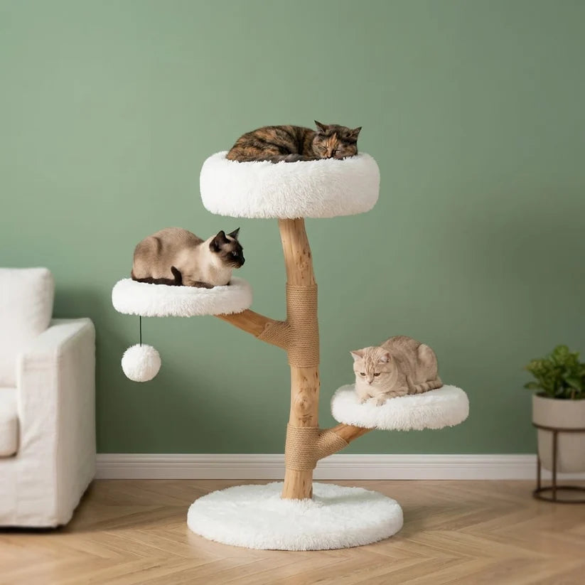 Arbre à chat design bois flotté | Kaiyou