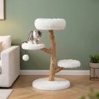 Arbre à chat design bois flotté | Kaiyou