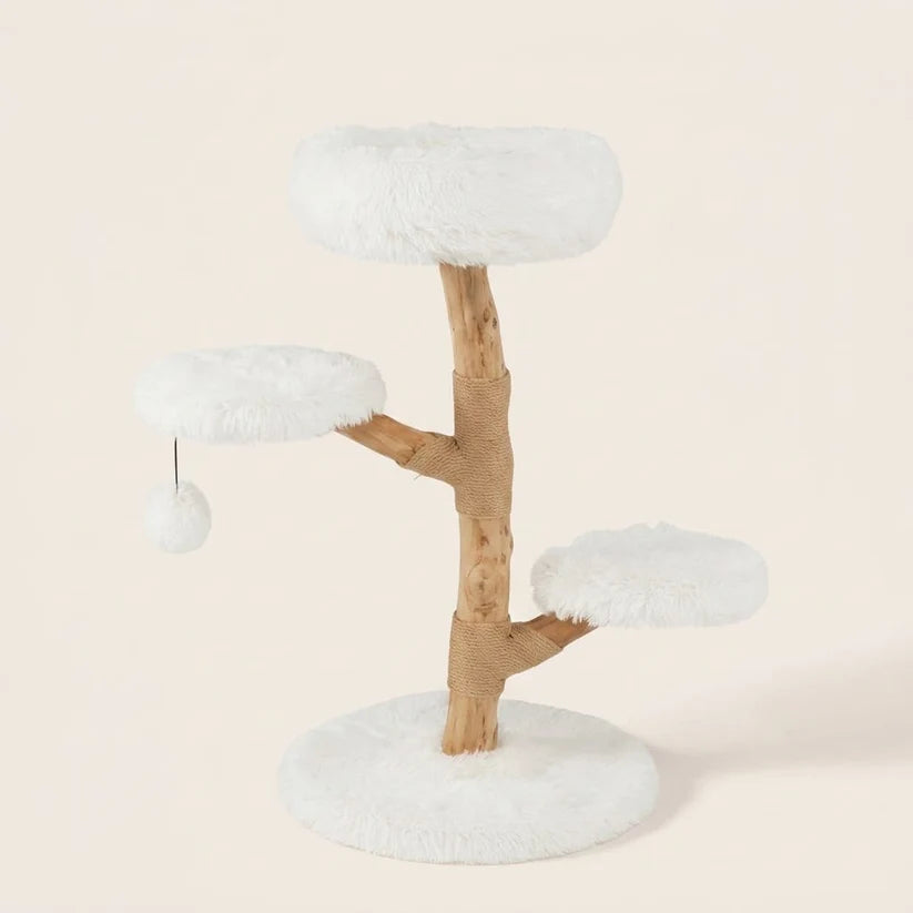 Arbre à chat design bois flotté | Kaiyou