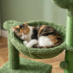 Arbre à chat design cactus | Fujio
