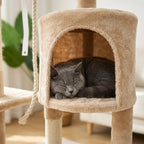 Arbre à chat design contemporain | Fubou