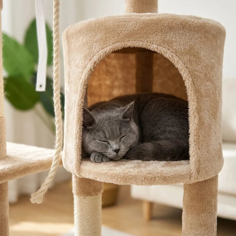 Arbre à chat design contemporain | Fubou