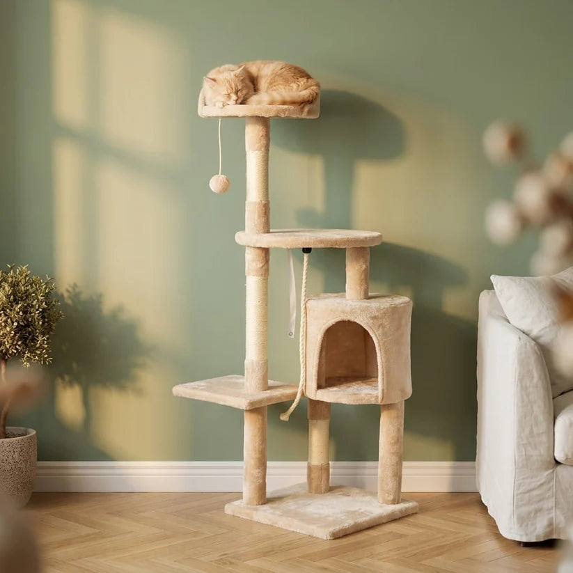 Arbre à chat design contemporain | Fubou