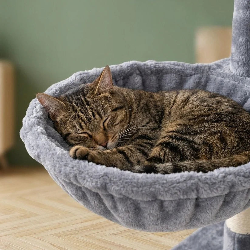 Arbre à chat design déco | Nirua