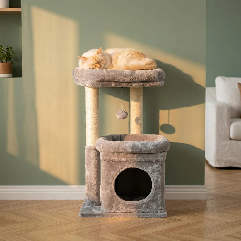 Arbre à chat à petit prix | Tobia