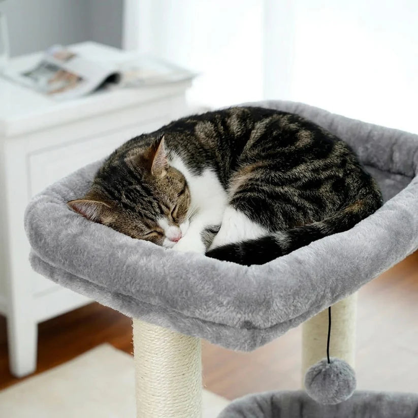 Arbre à chat à petit prix | Tobia