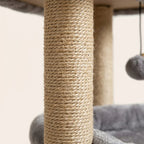Arbre à chat à petit prix | Tobia