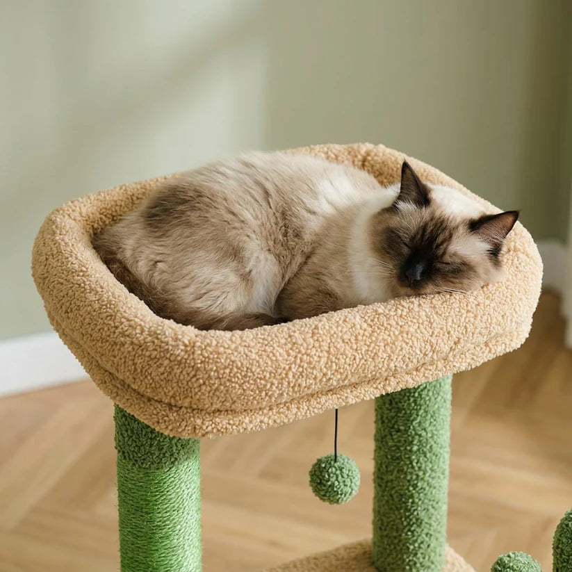 Arbre à chat gros gabarit xxl | Yamao