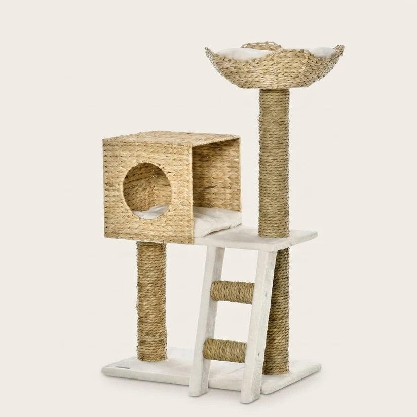 Arbre à chat design osier | Kago