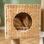 Arbre à chat design osier | Kago