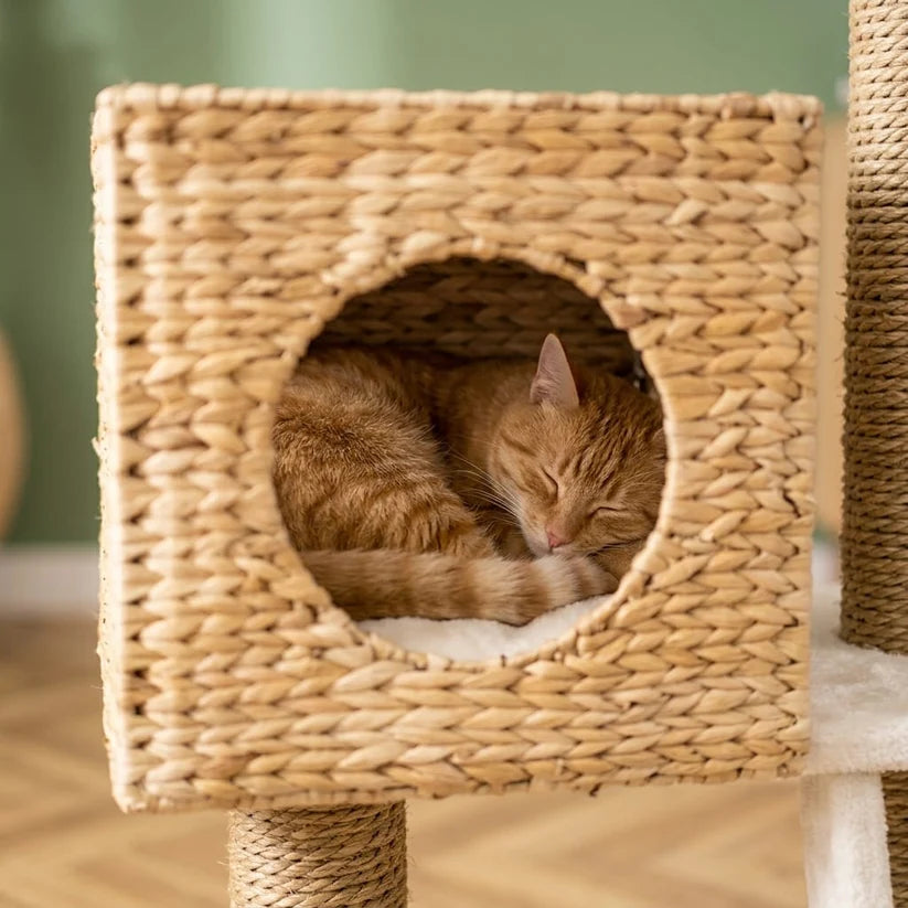 Arbre à chat design osier | Kago