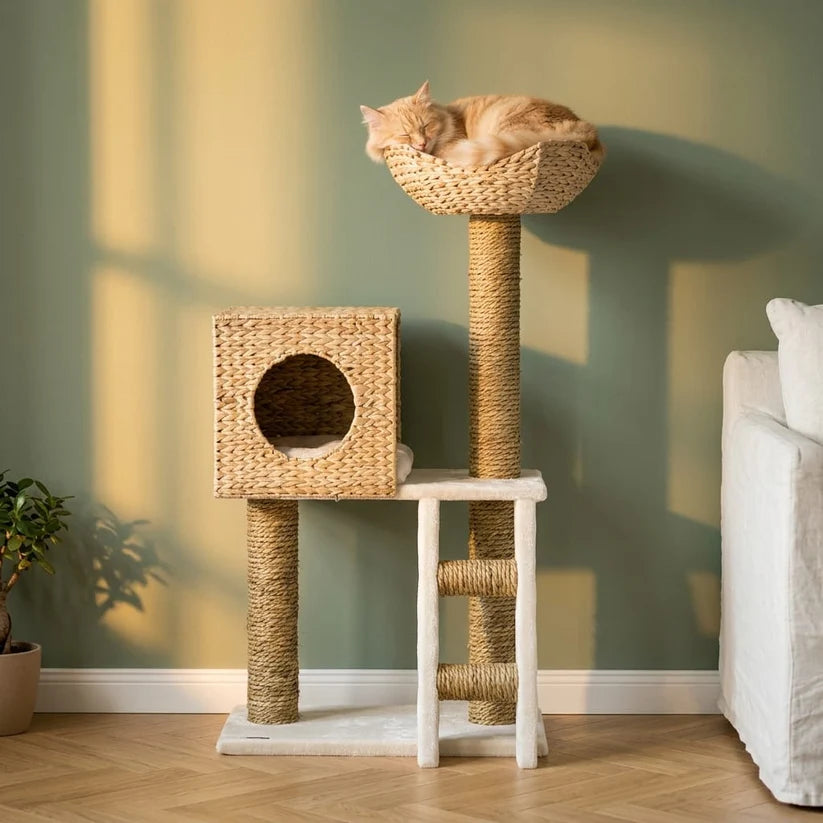 Arbre à chat design osier | Kago