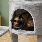 Arbre à chat design contemporain | Fubou