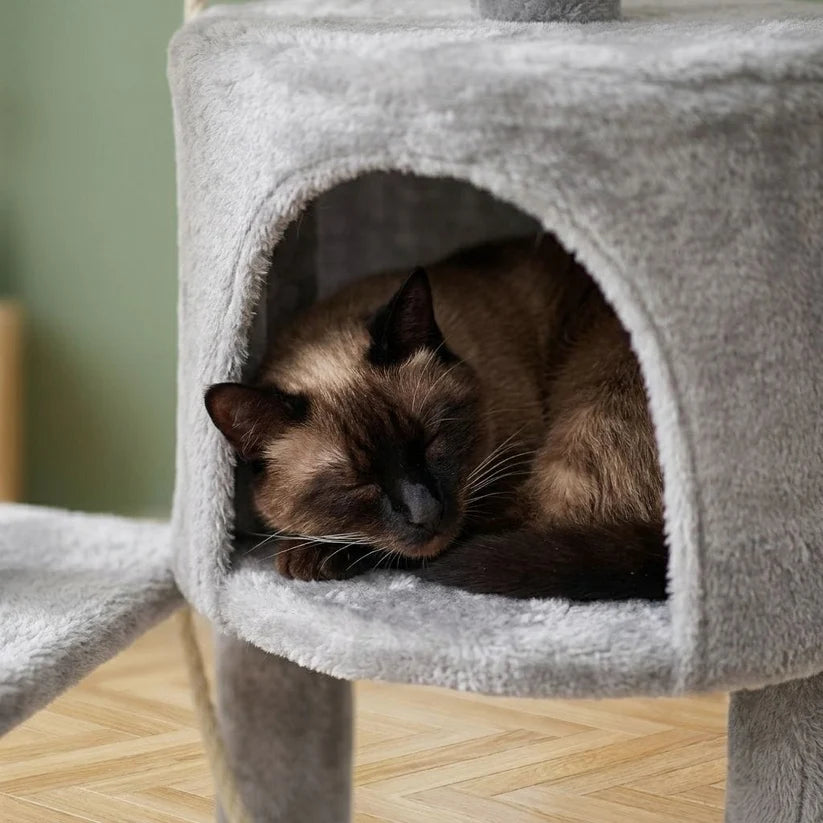 Arbre à chat design pas cher | Seirou
