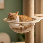 Arbre à chat du sol au plafond | Iwau